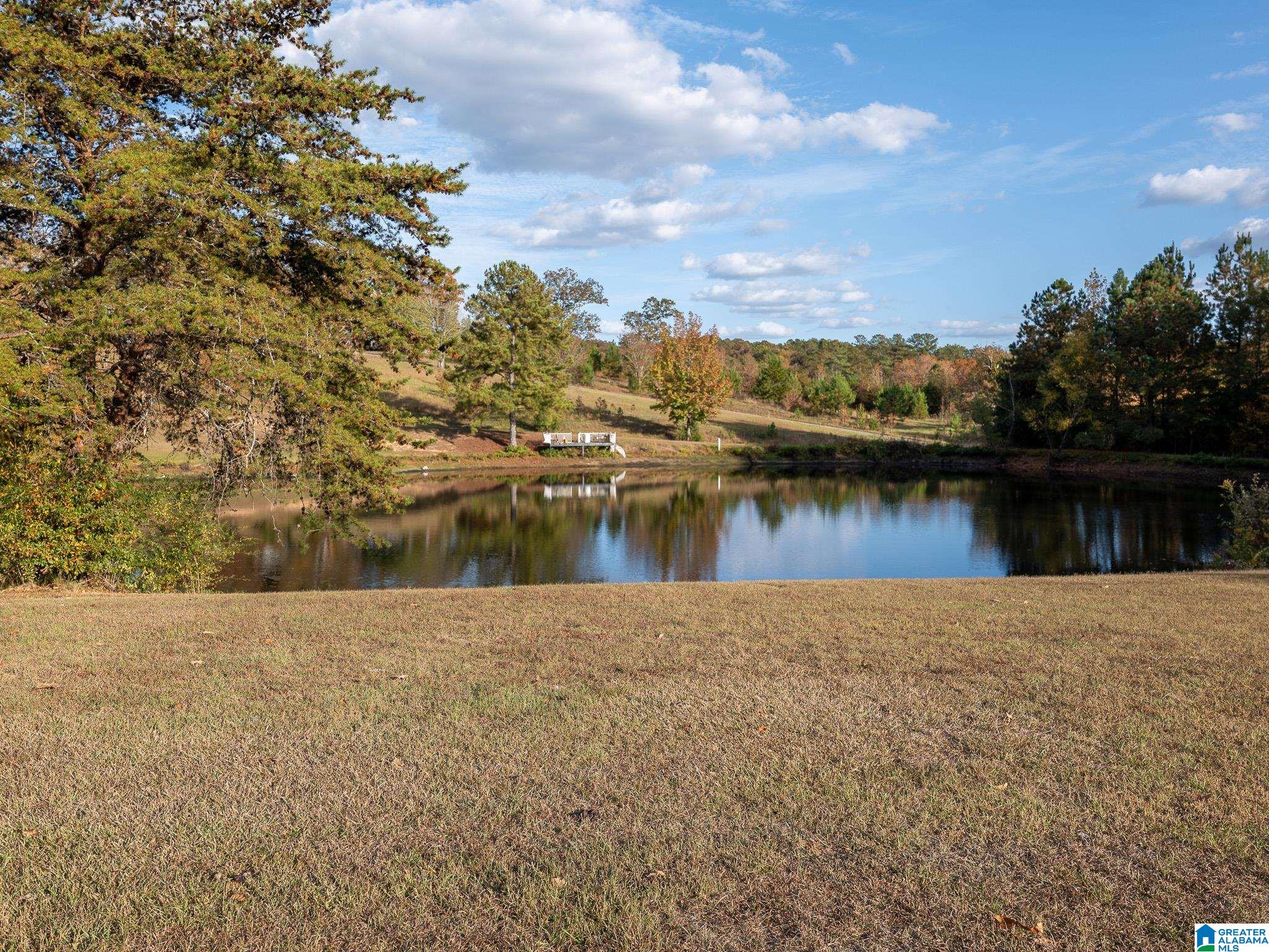 10715 Big Hurricane Road Brookwood, AL 35444 - Photo 24 of 47