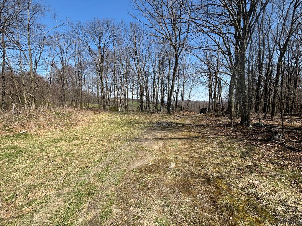 Grandview Road Hyndman, PA 15545 - Photo 8 of 22 Gallery Image 8