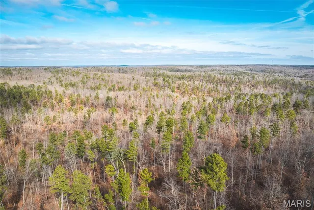 $450,000 | 0 Delbridge Road, Potosi, MO 63664