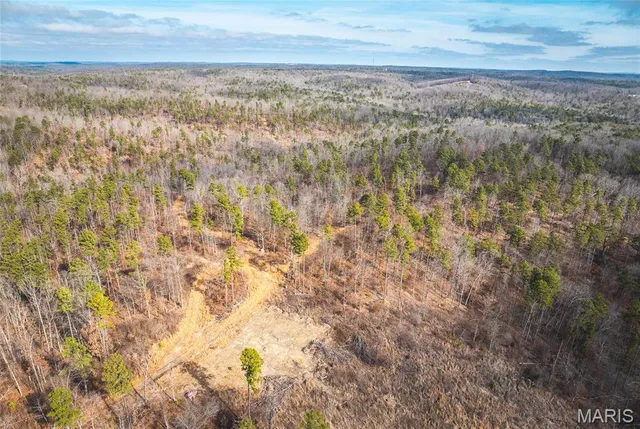 $450,000 | 0 Delbridge Road, Potosi, MO 63664