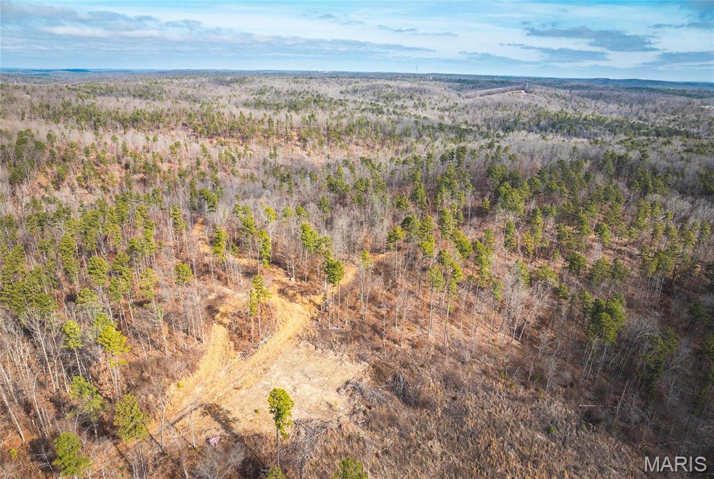 0 Delbridge Road Potosi, MO 63664 - Photo 12 of 48