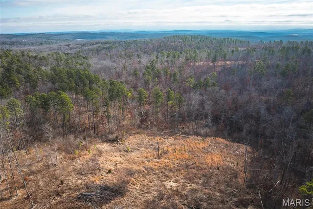 $450,000 | 0 Delbridge Road, Potosi, MO 63664