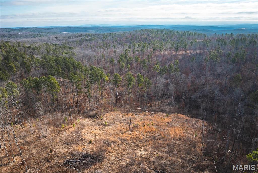 0 Delbridge Road Potosi, MO 63664 - Photo 13 of 48