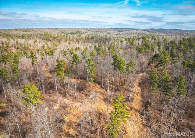 $450,000 | 0 Delbridge Road, Potosi, MO 63664