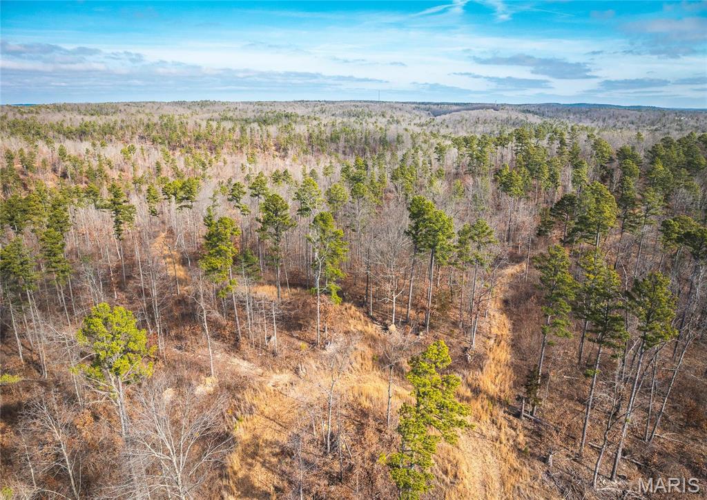 0 Delbridge Road Potosi, MO 63664 - Photo 14 of 48