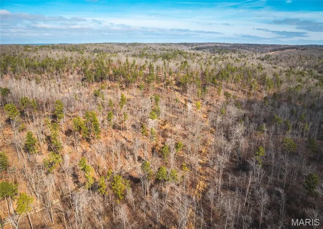 $450,000 | 0 Delbridge Road, Potosi, MO 63664