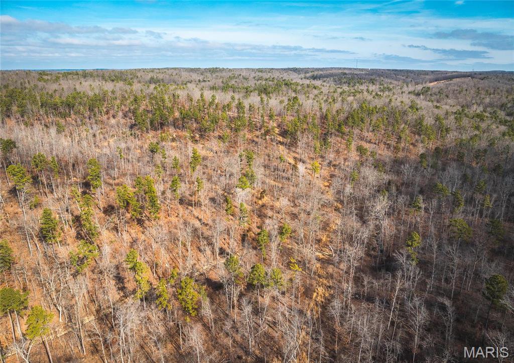 0 Delbridge Road Potosi, MO 63664 - Photo 15 of 48