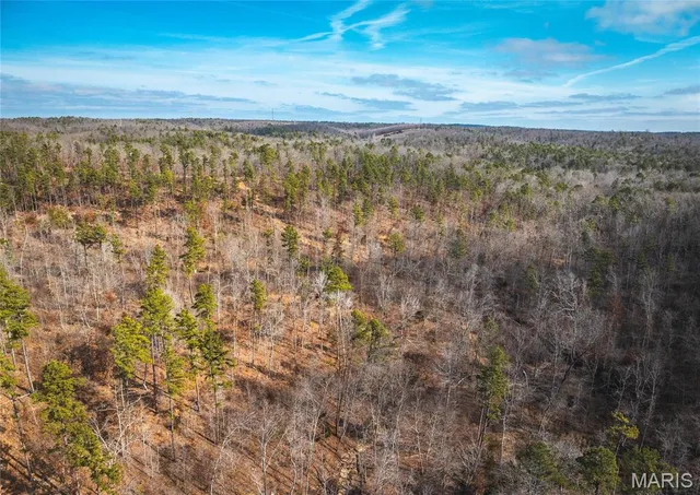 $450,000 | 0 Delbridge Road, Potosi, MO 63664