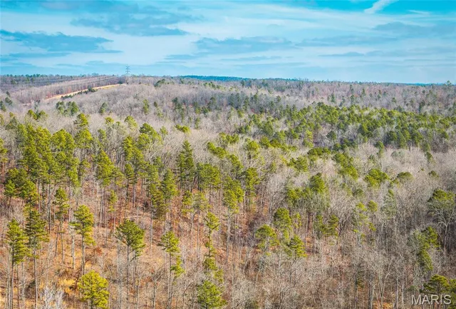 $450,000 | 0 Delbridge Road, Potosi, MO 63664