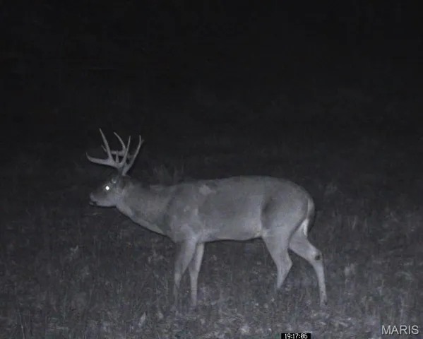 $450,000 | 0 Delbridge Road, Potosi, MO 63664