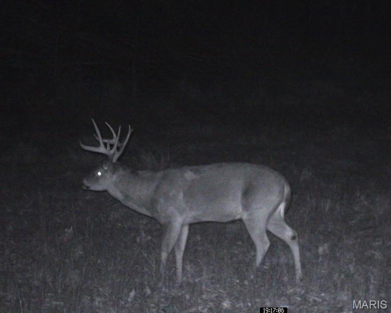 0 Delbridge Road Potosi, MO 63664 - Photo 18 of 48