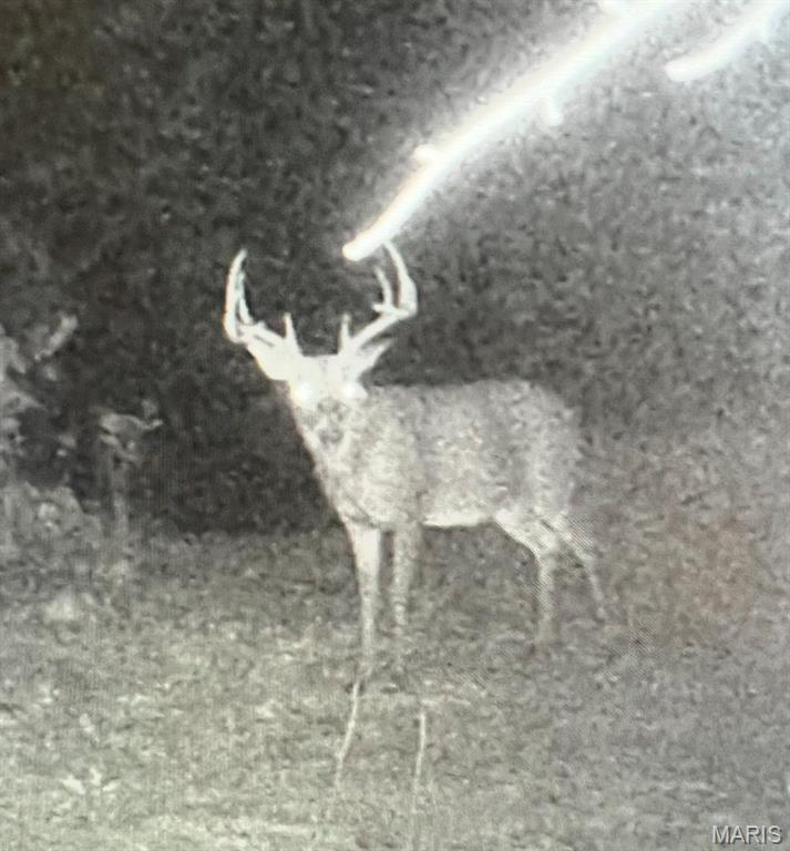 0 Delbridge Road Potosi, MO 63664 - Photo 19 of 48