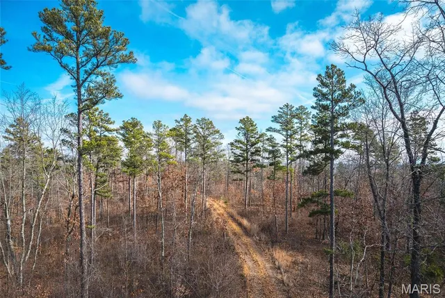 $450,000 | 0 Delbridge Road, Potosi, MO 63664