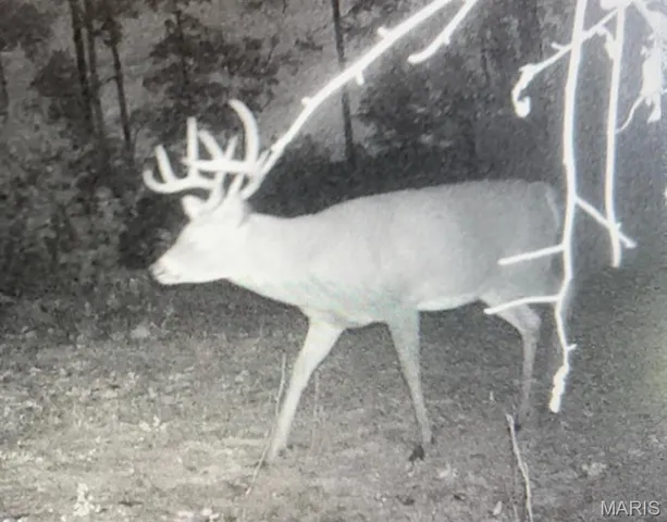 $450,000 | 0 Delbridge Road, Potosi, MO 63664