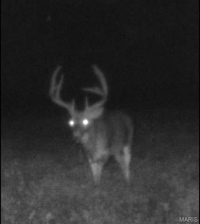 0 Delbridge Road Potosi, MO 63664 - Photo 22 of 48