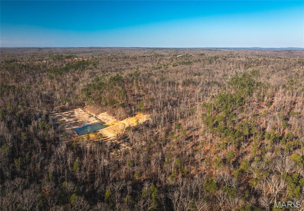 0 Delbridge Road Potosi, MO 63664 - Photo 23 of 48