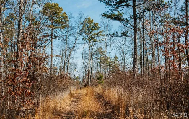 $450,000 | 0 Delbridge Road, Potosi, MO 63664