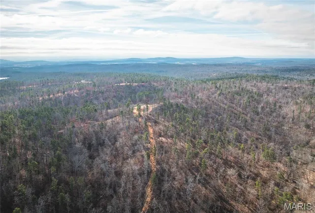 $450,000 | 0 Delbridge Road, Potosi, MO 63664