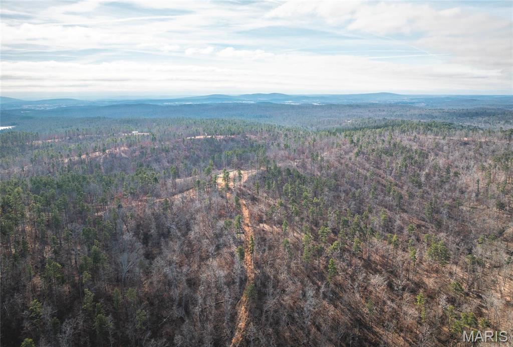 0 Delbridge Road Potosi, MO 63664 - Photo 27 of 48