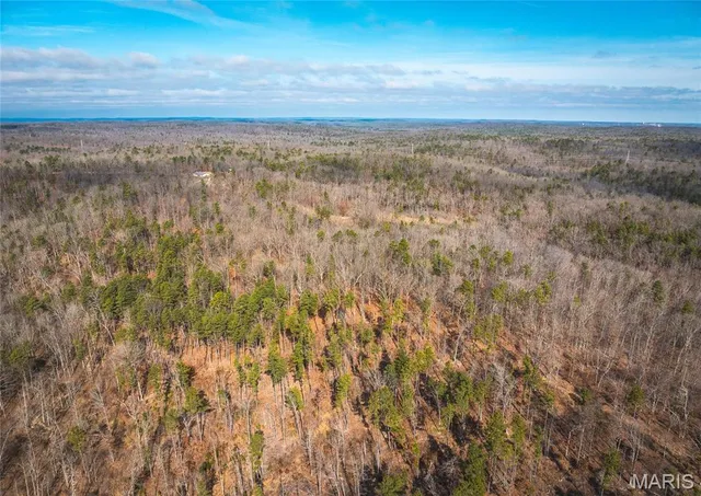 $450,000 | 0 Delbridge Road, Potosi, MO 63664