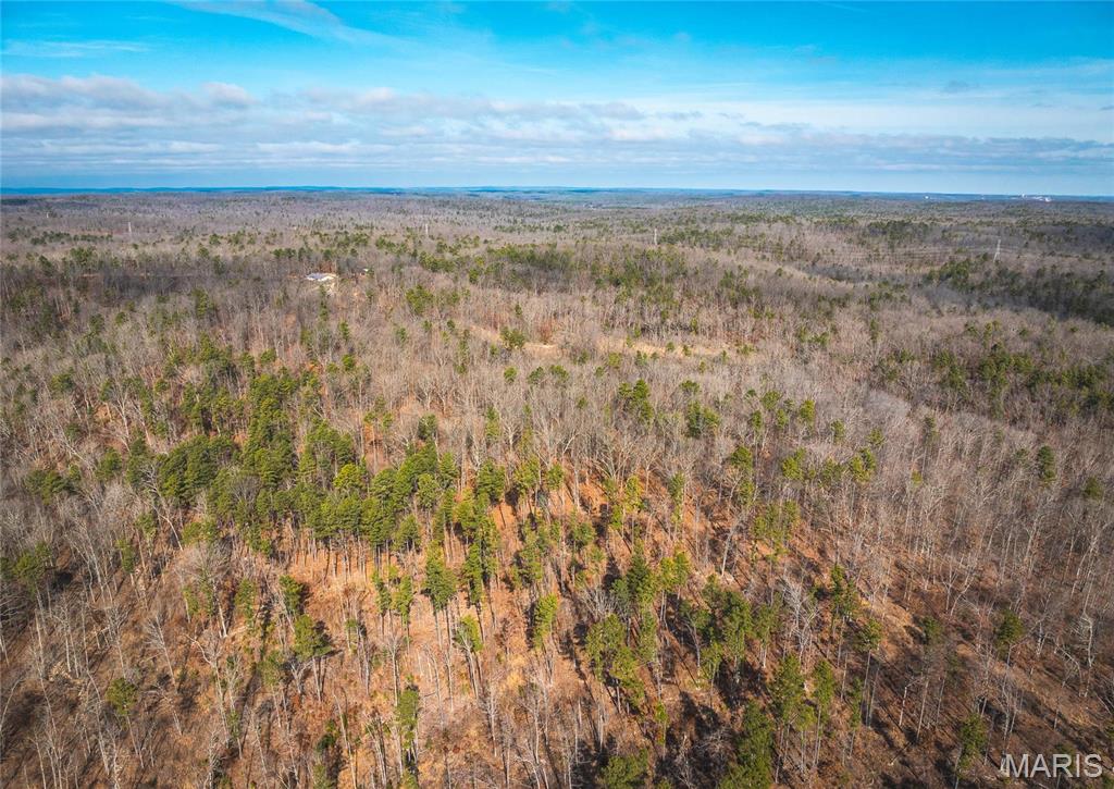 0 Delbridge Road Potosi, MO 63664 - Photo 28 of 48