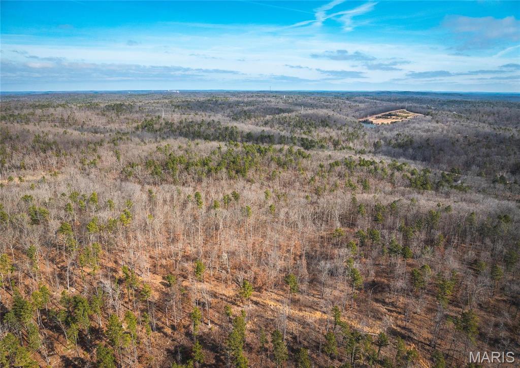 0 Delbridge Road Potosi, MO 63664 - Photo 29 of 48