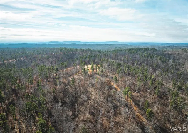 $450,000 | 0 Delbridge Road, Potosi, MO 63664