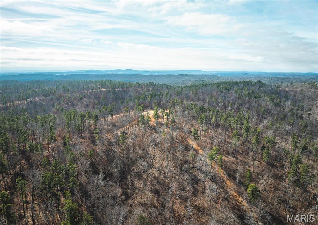 0 Delbridge Road Potosi, MO 63664 - Photo 30 of 48