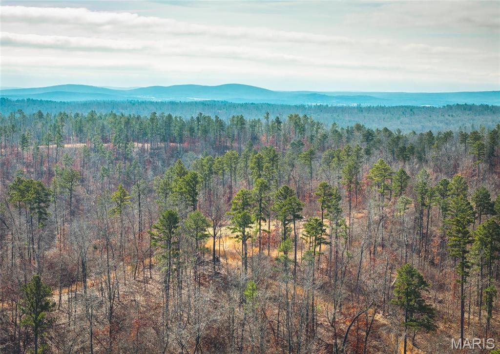 0 Delbridge Road Potosi, MO 63664 - Photo 31 of 48