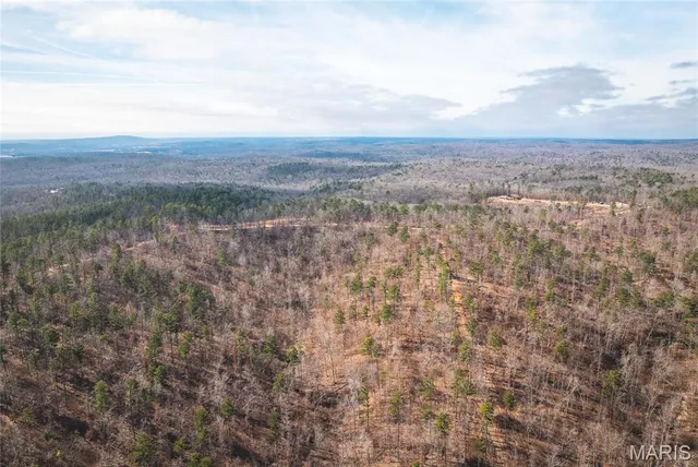 $450,000 | 0 Delbridge Road, Potosi, MO 63664