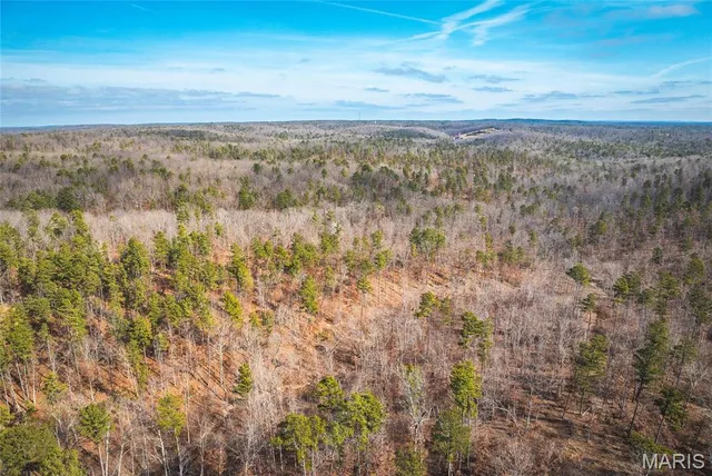 $450,000 | 0 Delbridge Road, Potosi, MO 63664