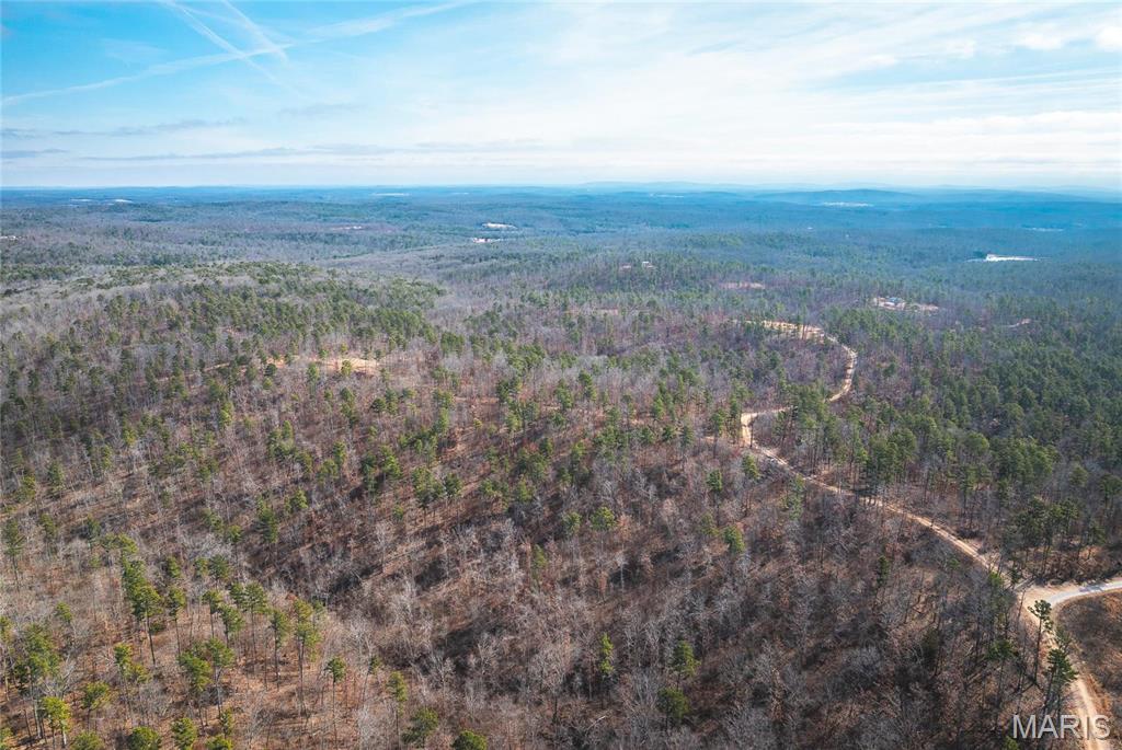 0 Delbridge Road Potosi, MO 63664 - Photo 34 of 48