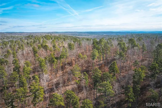 $450,000 | 0 Delbridge Road, Potosi, MO 63664