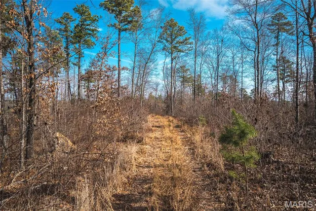 $450,000 | 0 Delbridge Road, Potosi, MO 63664