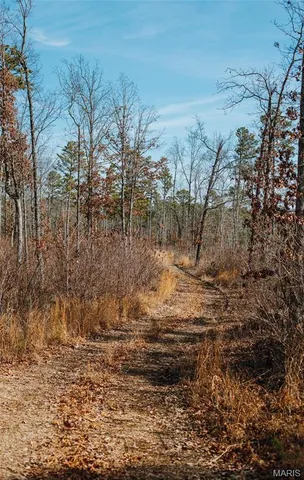 $450,000 | 0 Delbridge Road, Potosi, MO 63664