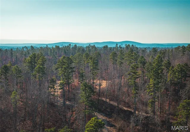 $450,000 | 0 Delbridge Road, Potosi, MO 63664