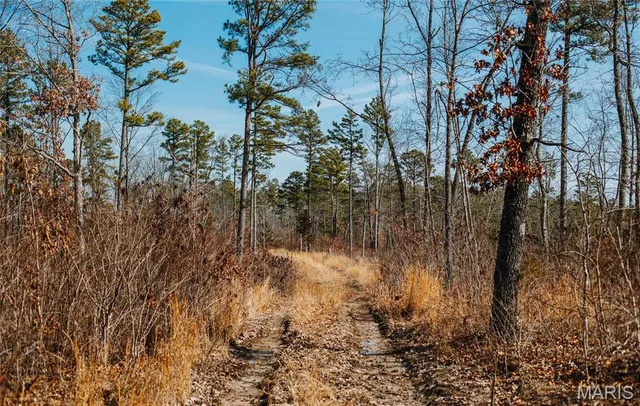 $450,000 | 0 Delbridge Road, Potosi, MO 63664