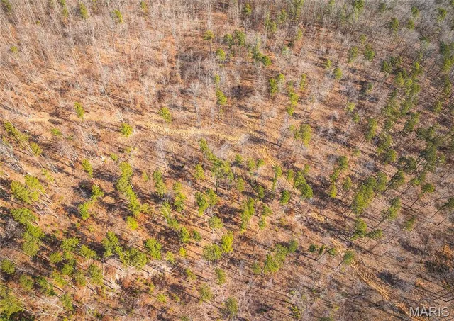 $450,000 | 0 Delbridge Road, Potosi, MO 63664