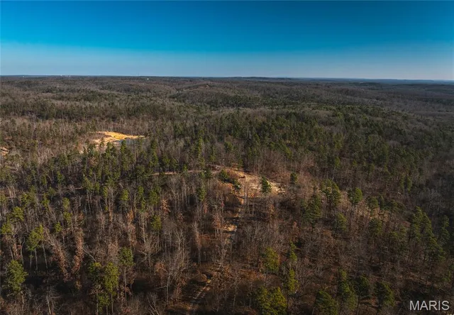 $450,000 | 0 Delbridge Road, Potosi, MO 63664