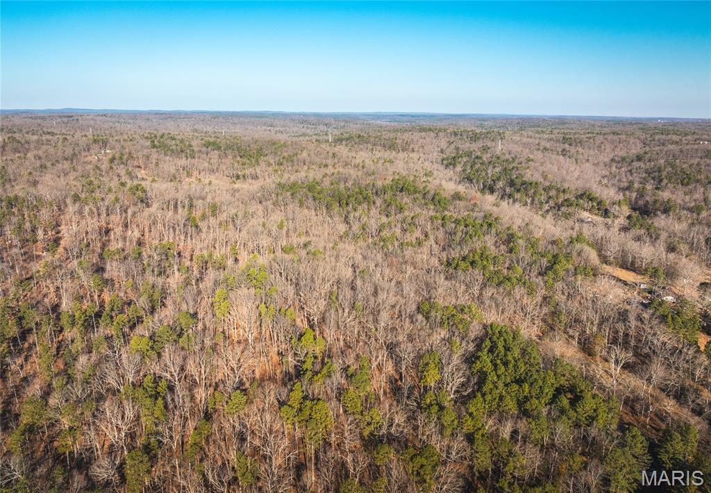 0 Delbridge Road Potosi, MO 63664 - Photo 44 of 48