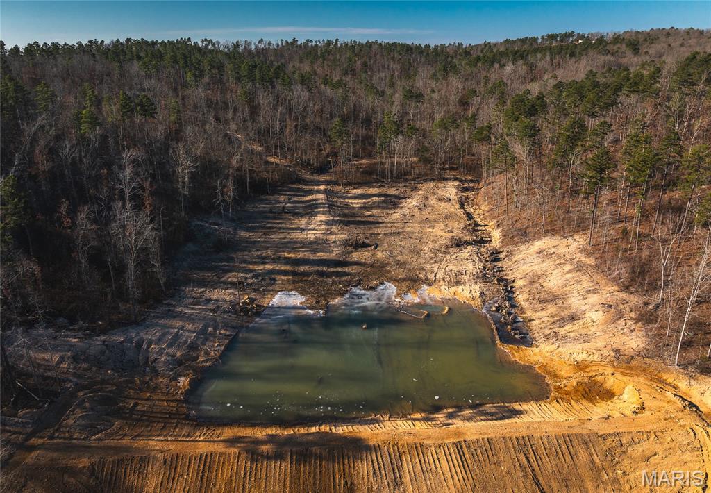 0 Delbridge Road Potosi, MO 63664 - Photo 45 of 48