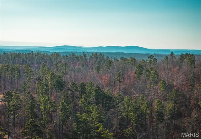 $450,000 | 0 Delbridge Road, Potosi, MO 63664