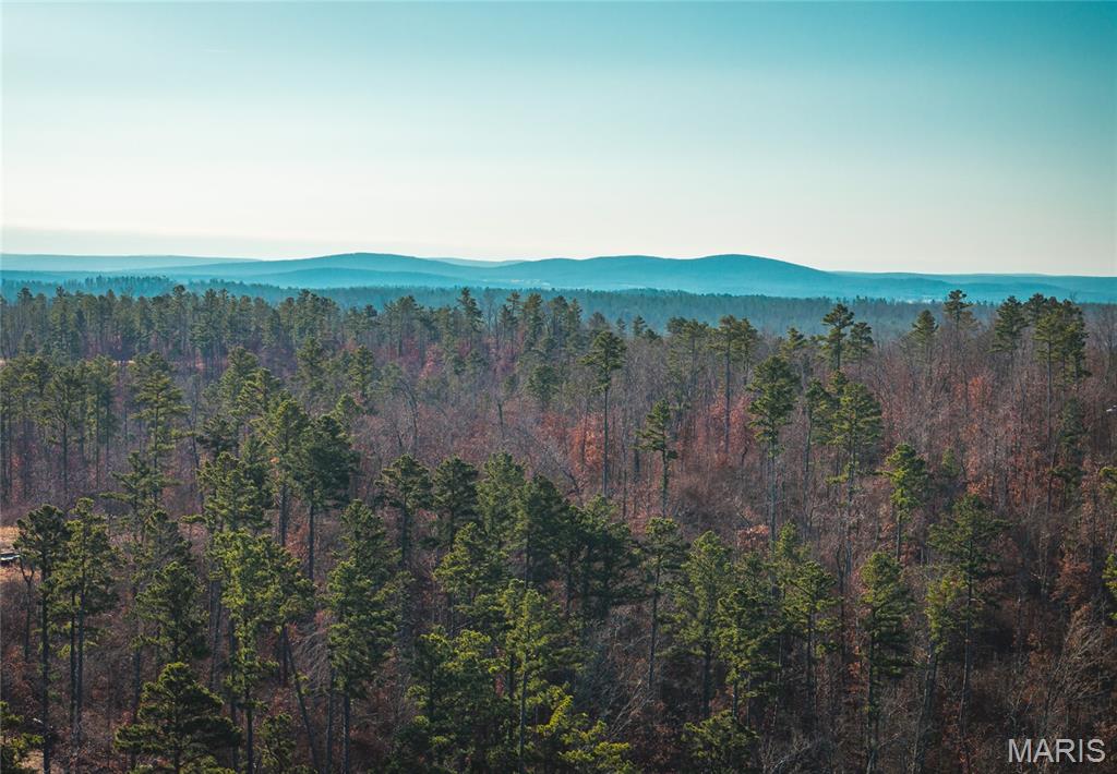 0 Delbridge Road Potosi, MO 63664 - Photo 46 of 48