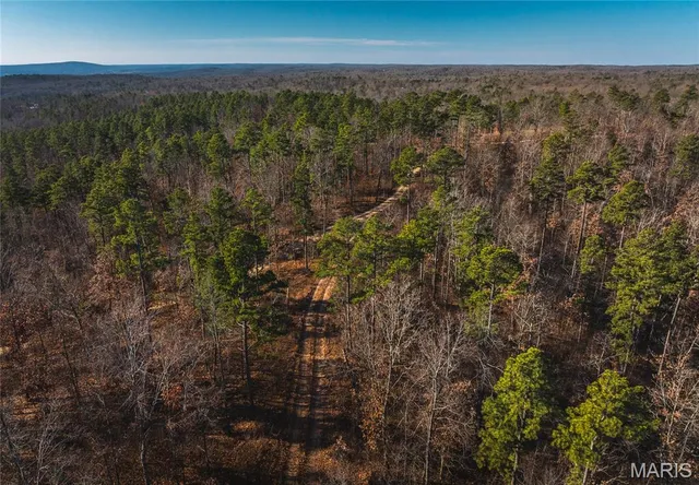 $450,000 | 0 Delbridge Road, Potosi, MO 63664