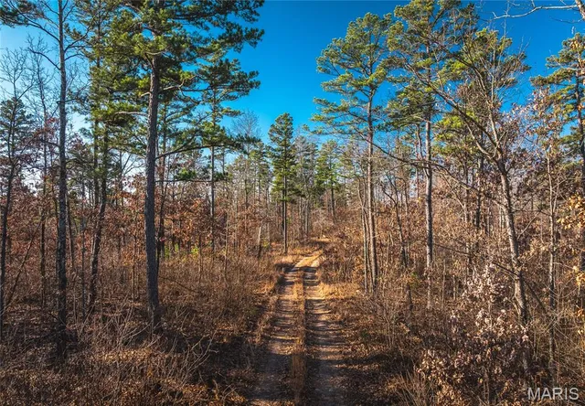 $450,000 | 0 Delbridge Road, Potosi, MO 63664