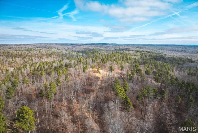 $450,000 | 0 Delbridge Road, Potosi, MO 63664