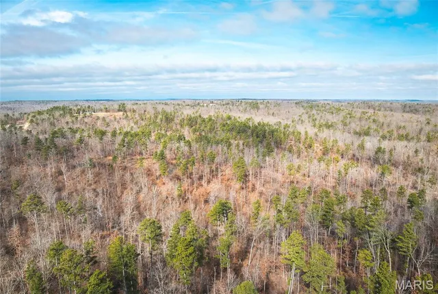 $450,000 | 0 Delbridge Road, Potosi, MO 63664