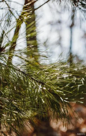 $450,000 | 0 Delbridge Road, Potosi, MO 63664