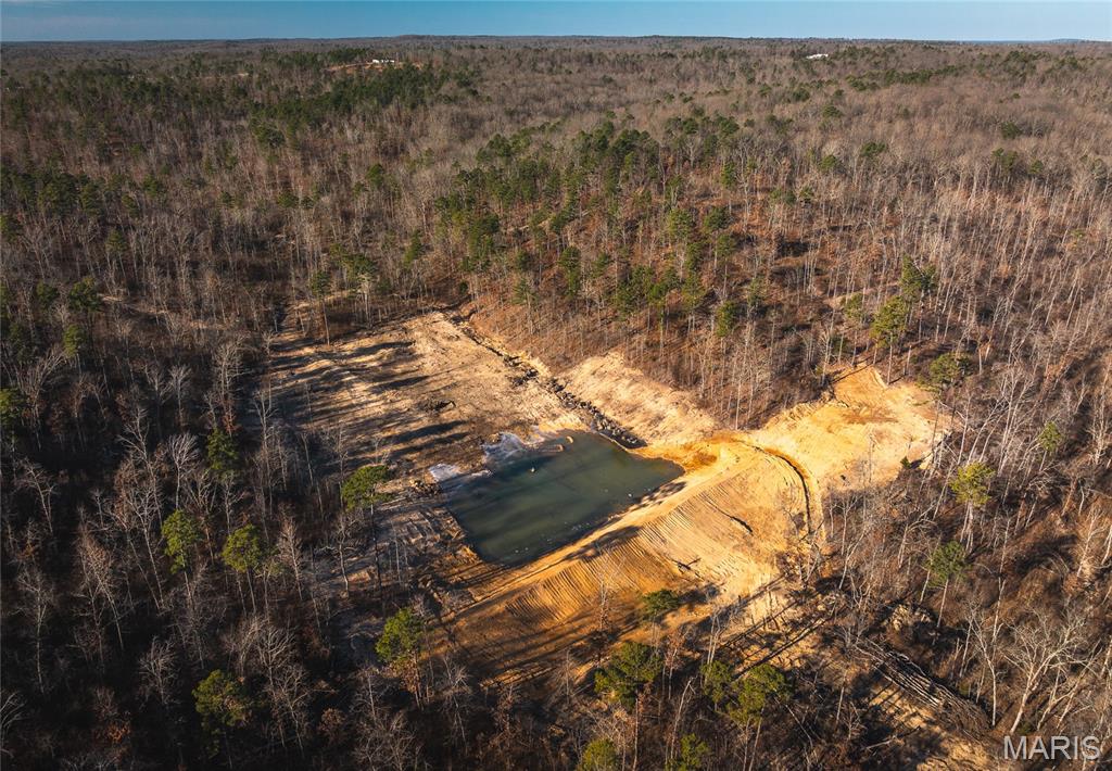 0 Delbridge Road Potosi, MO 63664 - Photo 10 of 48