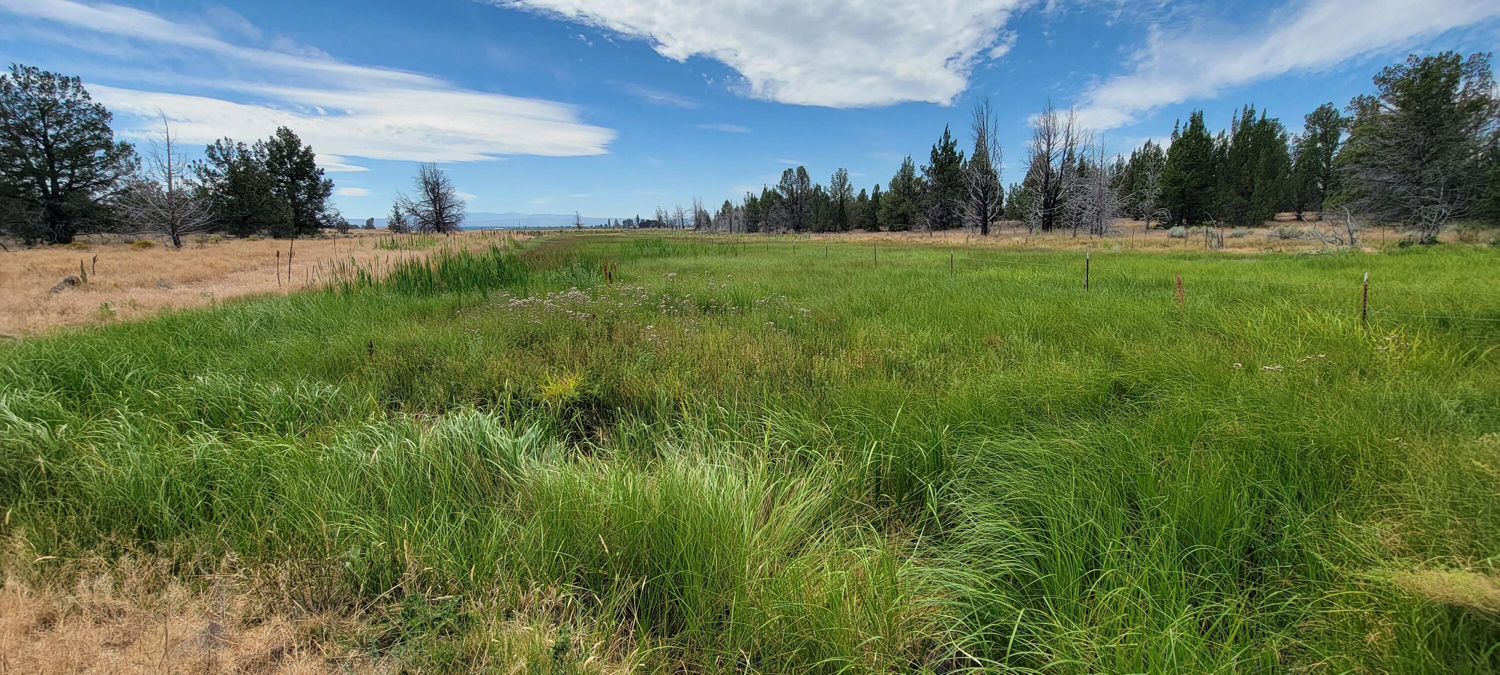 26720 Horsell Road Bend, OR 97701 - Photo 26 of 75 20220804_115251